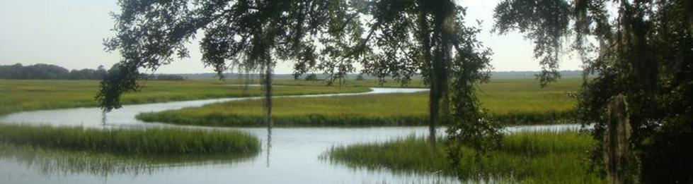 Marshes of Glynn County in the Golden Isles of Georgia